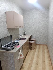 Kuchyň nebo kuchyňský kout v ubytování Art-Rabath