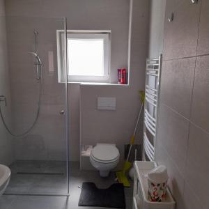 a bathroom with a shower and a toilet and a window at Lily of the valley house in Varaždinske Toplice
