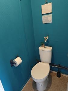 Łazienka z białą toaletą i niebieską ścianą w obiekcie 2 BEDROOM FLAT NEXT TO ARSENAL STADIUM - HIGHBURY w Londynie