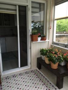 a screened porch with potted plants and windows at AYDIN APART. in Arsin