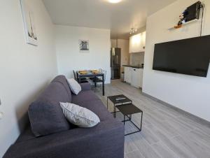 a living room with a couch and a television at Appart tout confort très proche RER A in Torcy