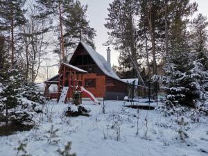 a log cabin in the snow with a playground at Cottage Tatry Wellness in Tatranska Strba