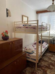 a bedroom with two bunk beds and a dresser at Domeček Pod horami in Raškovice