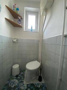 a bathroom with a toilet and a window at Domeček Pod horami in Raškovice