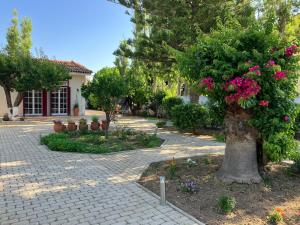 einen Garten mit einem Baum und Blumen auf einem Gehweg in der Unterkunft Mediterranean house with beautiful garden in Karlovasi