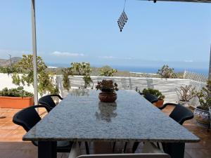 uma mesa com um vaso de plantas num pátio em Apartment with a great terrace, sea and land views em Mojácar
