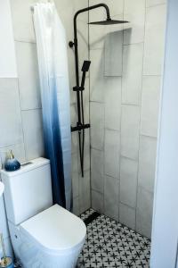 La salle de bains est pourvue d'une douche et de toilettes. dans l'établissement Porta Danube, à Budapest