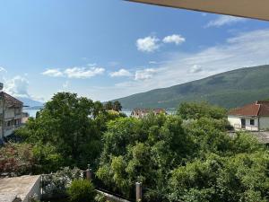 a view from the roof of a house with trees at Villa Alla Bed and Breakfast in Herceg-Novi +72 photos