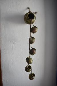 a bunch of clams hanging from a ceiling at Aegean Star Hotel in Karavostasi