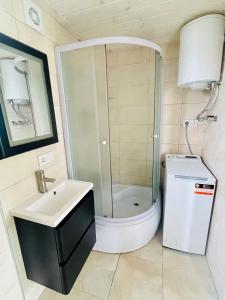 a bathroom with a shower and a sink at Tiny house aan het water op de appelhof in Wommels