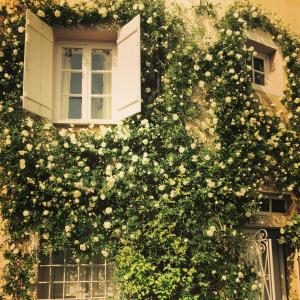 Gallery image of B&B Casa Meli in Cadepiaggio