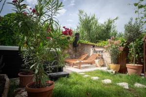 ogród z drewnianą ławką i roślinami w obiekcie Holiday Home Skala with hot tub w mieście Pitve