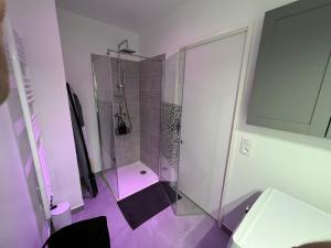 y baño con ducha de cristal y aseo. en Appartement avec son jardin d’hiver, en Poissy