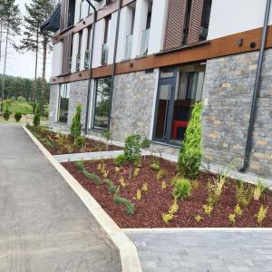 Kebun di luar Apartmani Gavric Borovi 2