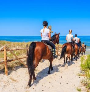 a group of people riding horses on the beach at Casa vacanza Gallipoli centro in Gallipoli