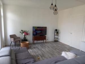 a living room with a couch and a tv at Grand appartement au coeur de Strasbourg in Strasbourg