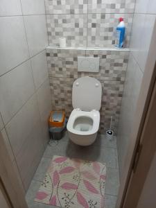 mała łazienka z toaletą i dywanem w obiekcie Tubej turist farm - wooden hayloft w mieście Bohinjska Bistrica