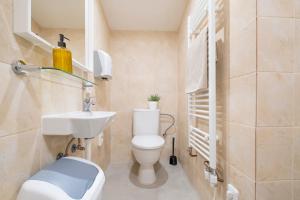 Phòng tắm tại Lysečinská bouda
