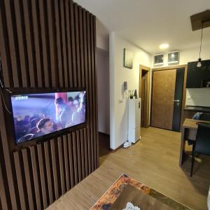 Televisi dan/atau pusat hiburan di Apartmani Gavric Borovi 2