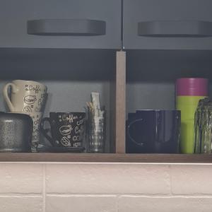 Fasilitas pembuat kopi dan teh di Apartmani Gavric Borovi 2