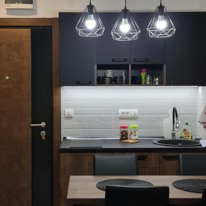 Dapur atau dapur kecil di Apartmani Gavric Borovi 2