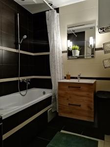 a bathroom with a tub and a sink and a shower at Mieszkanie 50M in Rymanów-Zdrój