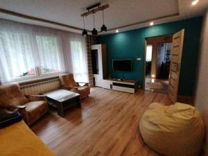 sala de estar con sofá y TV en Mieszkanie 50M, en Rymanów-Zdrój