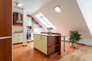 Η κουζίνα ή μικρή κουζίνα στο Apartmány Frýda