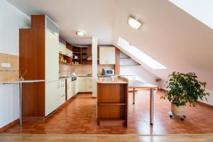 Η κουζίνα ή μικρή κουζίνα στο Apartmány Frýda
