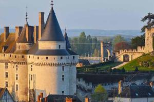 un castillo con una torre y un puente en el fondo en Langeais - Gîte des Culeveaux, en Langeais