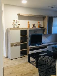 a living room with a tv and a desk at Art De Lux apartment in Višnjan