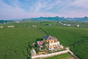 an aerial view of a house in the middle of a field at Villa Mộc Châu Teahouse in Mộc Châu