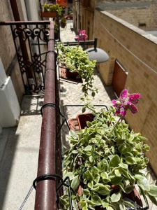Giardino di Zephir Suite