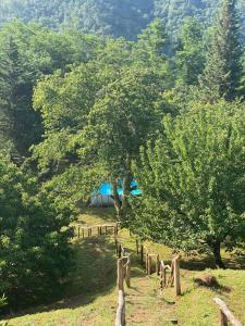 ein Zaun mitten auf einem Feld mit Bäumen in der Unterkunft Villa Sardi Small Luxury boutique Hotel in Lucca