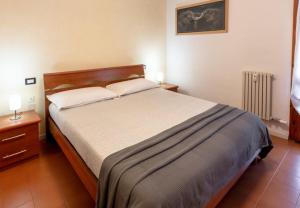 een slaapkamer met een groot bed en een radiator bij Appartamenti Angelica Ospedale cisanello in Pisa