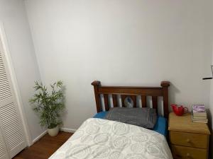 a bedroom with a bed and a potted plant at D High quality large bed rooms near commercial areas, universities, and rail transit in villas in Melbourne