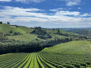 an aerial view of a vineyard on a hill at Summer Wine romantisches, fahrradfreundliches Weinbergidyll mit Traumausblick gleich neben Buschenschank! in Leutschach