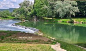 a river with green water and trees and grass at Rest House Korana in Karlovac