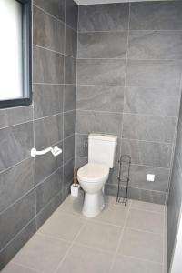 a bathroom with a toilet and a tiled wall at Maison climatisée accessible PMR in Argelès-Gazost