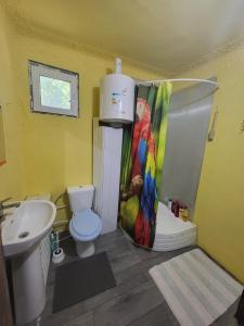 a bathroom with a shower and a toilet and a sink at Dalbo House in Slobozia-Mîndra