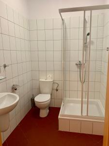 a bathroom with a toilet and a shower and a sink at Gościniec Rzemyk in Wdzydze Kiszewskie
