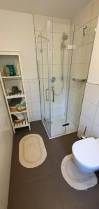 a bathroom with a glass shower and a toilet at Casa Wiesenblick in Nürtingen