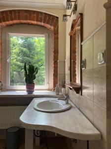 eine Küche mit einem Waschbecken und einem Fenster in der Unterkunft Przytulne Siedlisko in Jugowice
