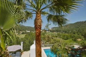 a palm tree next to a swimming pool at Hotel Rural Can Maries in Puerto de San Miguel