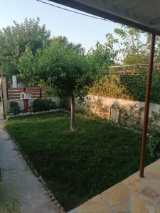 A garden outside Tota's Family House