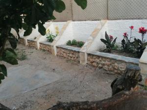 A garden outside Tota's Family House
