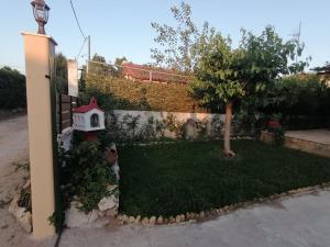 A garden outside Tota's Family House