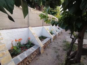 A garden outside Tota's Family House