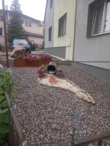 a snake laying on the ground in front of a house at Hanter5 in Jugów