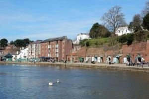 two swans swimming in a river in a city at 3 bedroom Victorian house close to City centre in Exeter